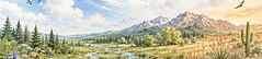 background for button