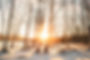 1L3A6790 Mirror Lake Sunrise Haze Resized Website.jpg