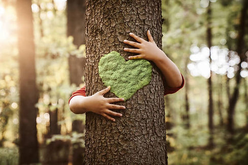 arbre coeur.jpg