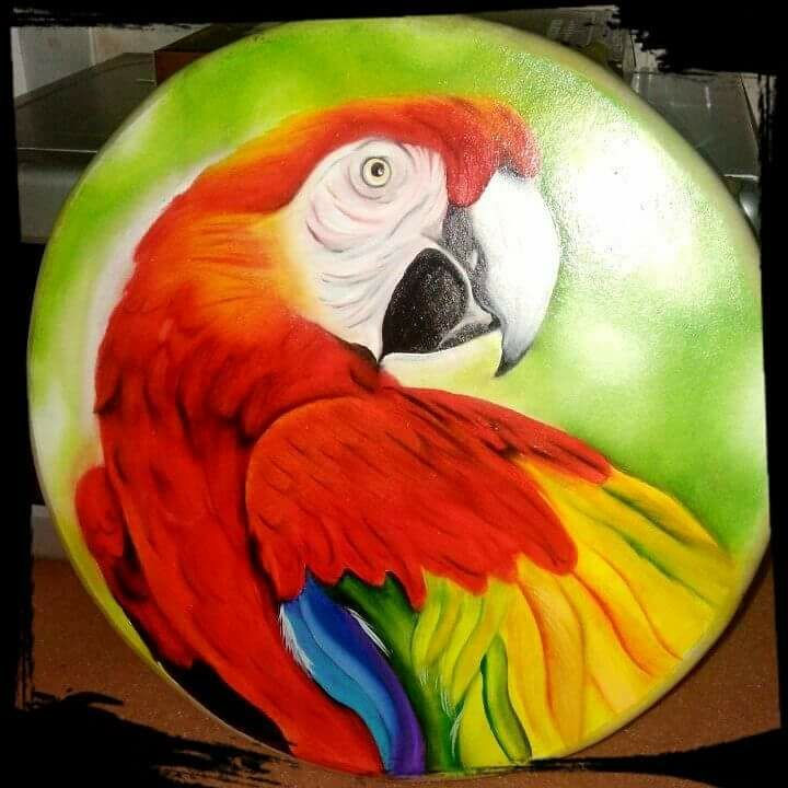 תמונה ממוזערת: תוף שמאני עבודת יד קולומביה