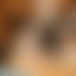 המלצות ספרים