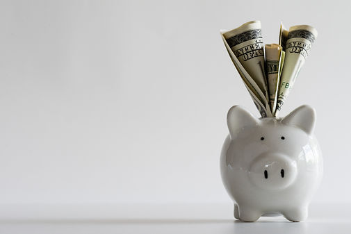 Piggy Bank.jpeg