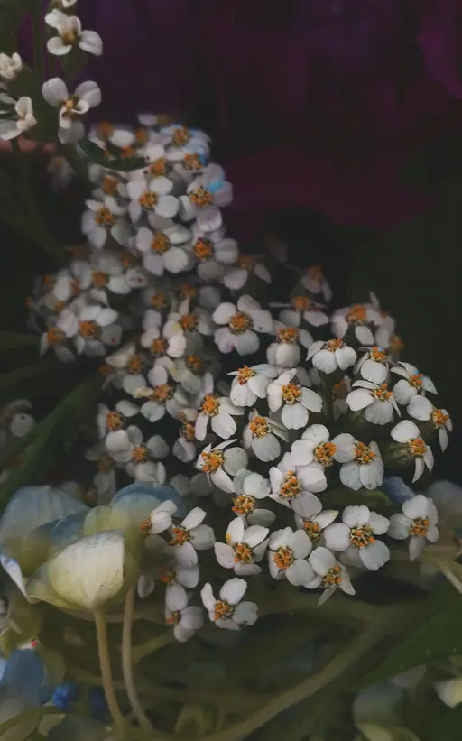 2018-11-12 07.18.29 1.webp