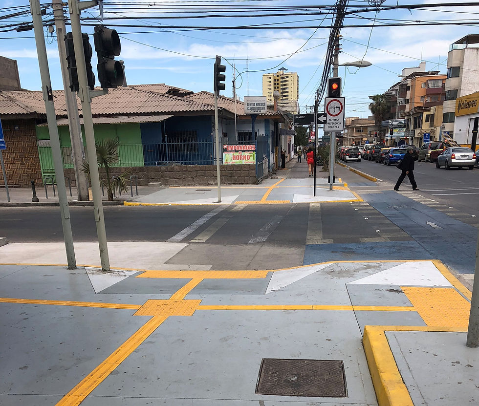 Panel Podotactil Guia