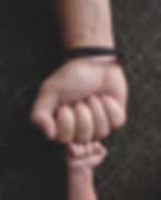 3950.jpg