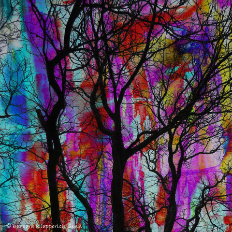 Colorful surreal image of dark trees on a multi-color background
© Barbara Klapperich Senn