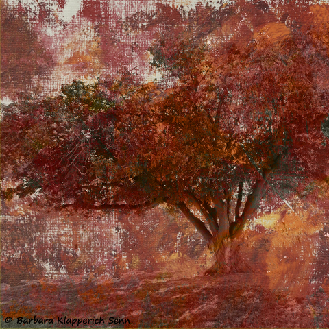 Surreal image of a dark tree on an orange and brown background
© Barbara Klapperich Senn