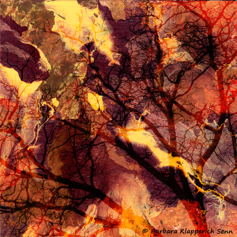 Colorful surreal image of dark trees on an orange and yellow background
© Barbara Klapperich Senn