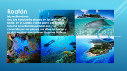 turismo 4.png