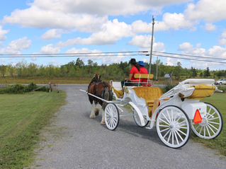 Weddings, parades, and drives in the country