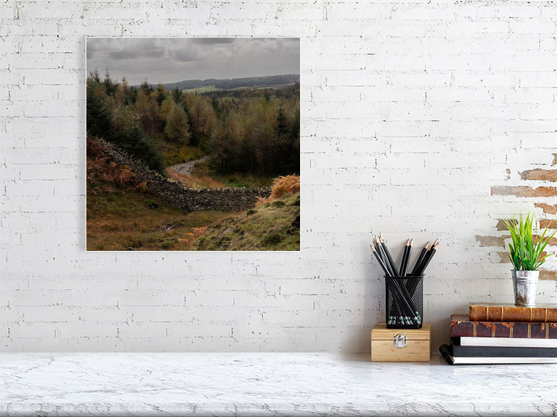 Thumbnail: Autumn Drywall