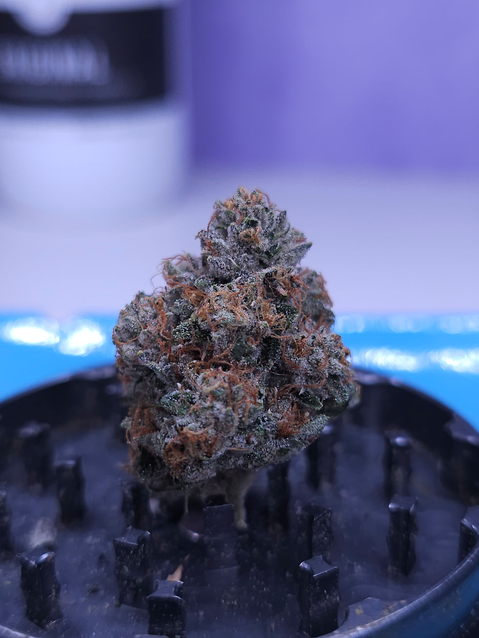 Thumbnail: Skywalker OG (Heirloom Cut from Hollywood)