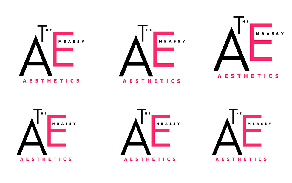Welcome to the Aesthetics Embassy.2.png
