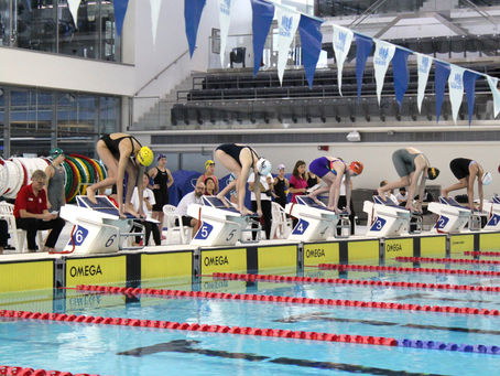 Dive into the Importance of Dryland Training for Swimmers