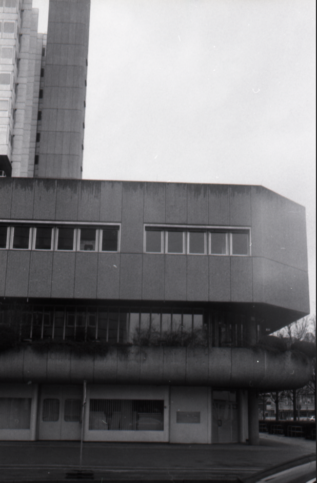 Analog