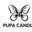 Writer: pupa writer