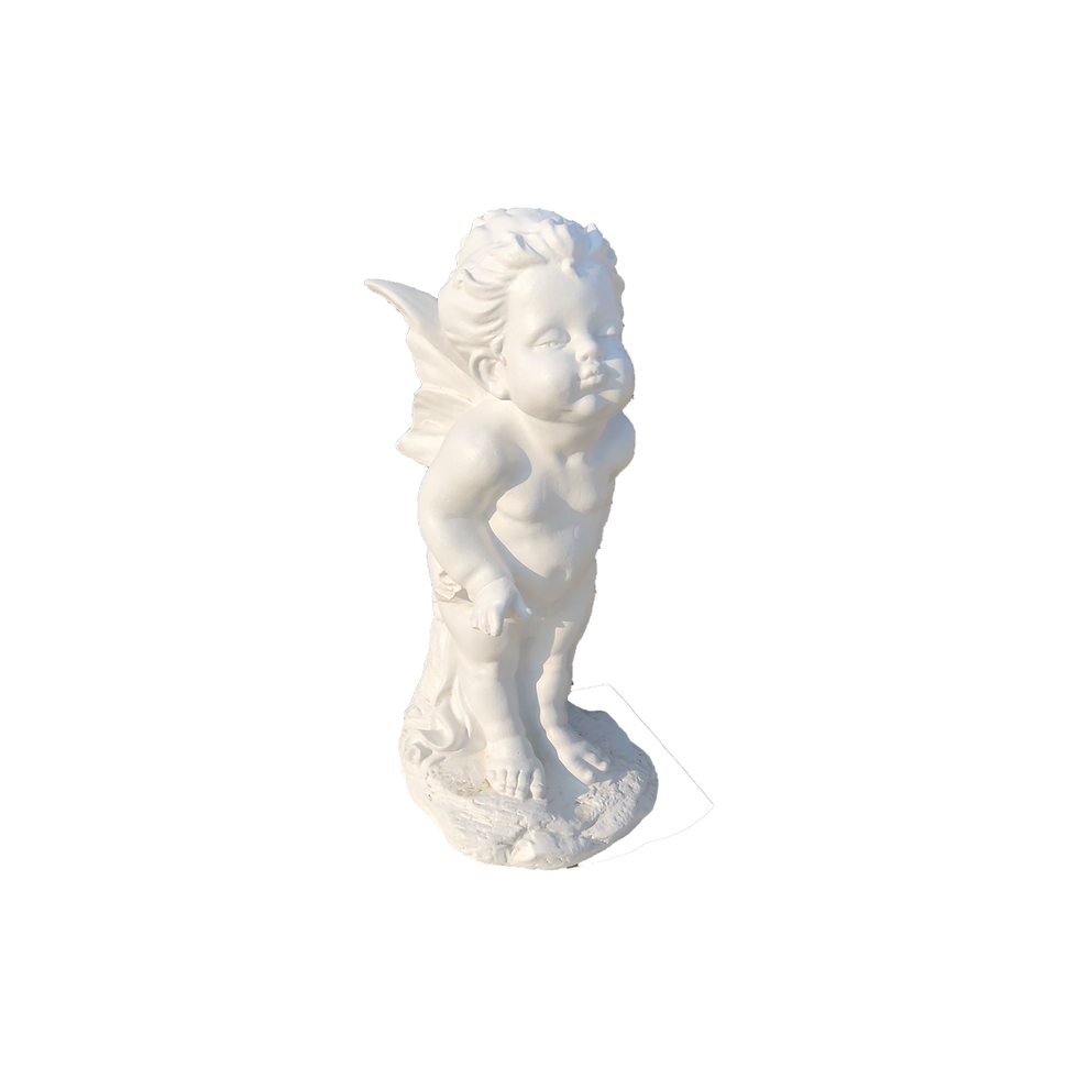 Miniatură: Ingeras