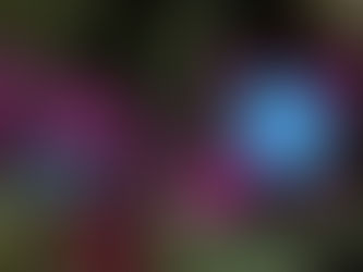 Carte Cadeau Escape Game & Quiz Game à Caen : Le Cadeau Qui Se Vit, Pas Qui S'Oublie