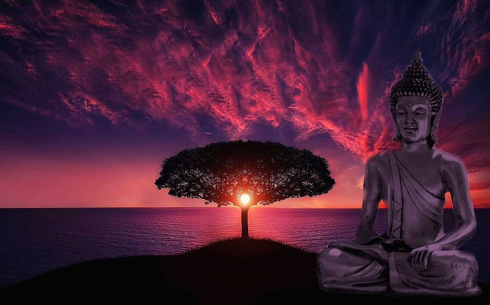 buddha-785863_960_720.jpg