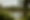 LastLeaves-002.jpg