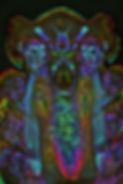 00c0e8ab58dd28c25607d091ffa0bd59.jpg