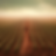 Rob_De_Schutter_Be_dystopian_endless_field_of_soy_aecafc88-37a0-4096-aeab-eee858c440d9.png
