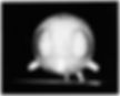 Black and white image of a spherical object resembling a cartoonish creature with large eyes and legs, set against a dark background.