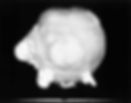 A black-and-white image shows the early stage of a nuclear explosion, resembling a glowing sphere with protruding clouds, against a dark background.