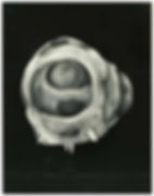 Abstract shape resembling a planet with craters and spikes against a black background. Gray tones create a mysterious, cosmic vibe.