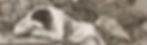 Francisco_José_de_Goya_y_Lucientes_-_The_sleep_of_reason_produces_monsters_(No_edited_edit