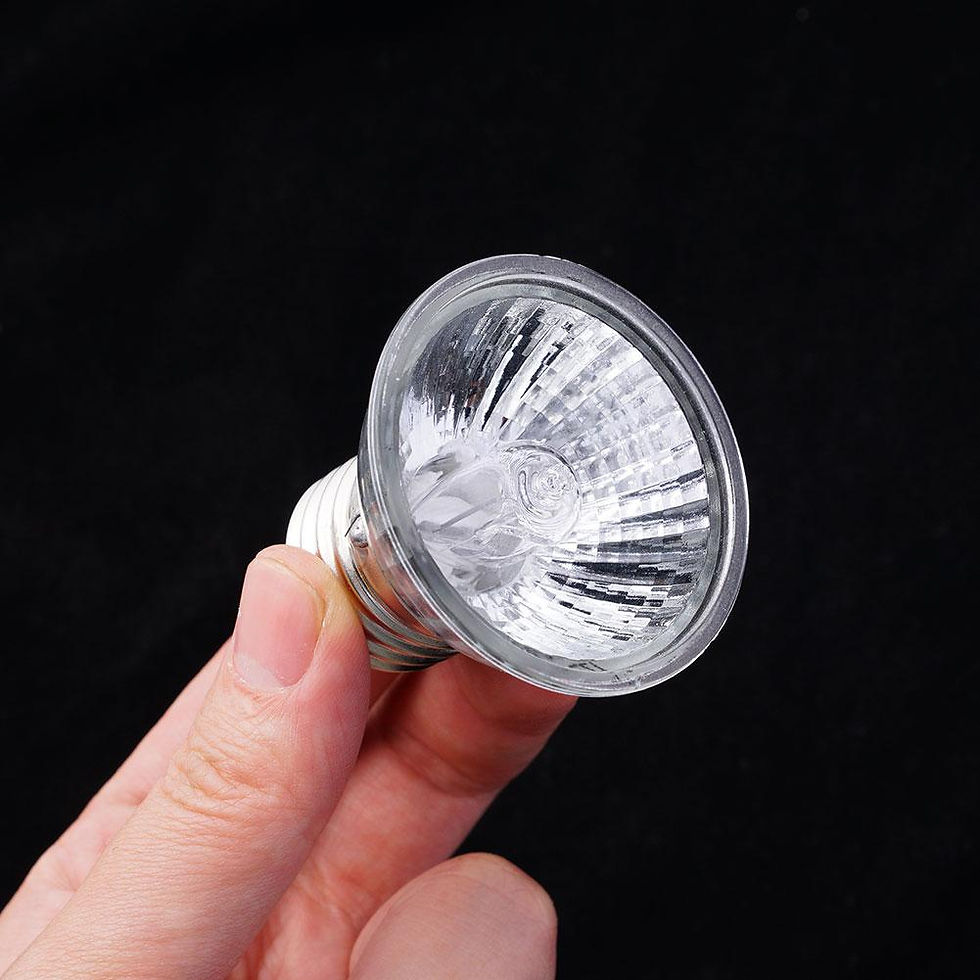 Thumbnail: 20/50/75W Heat Lamp UVA UVB Reptile Constant Temperature Lamp Full Spectrum Sunl