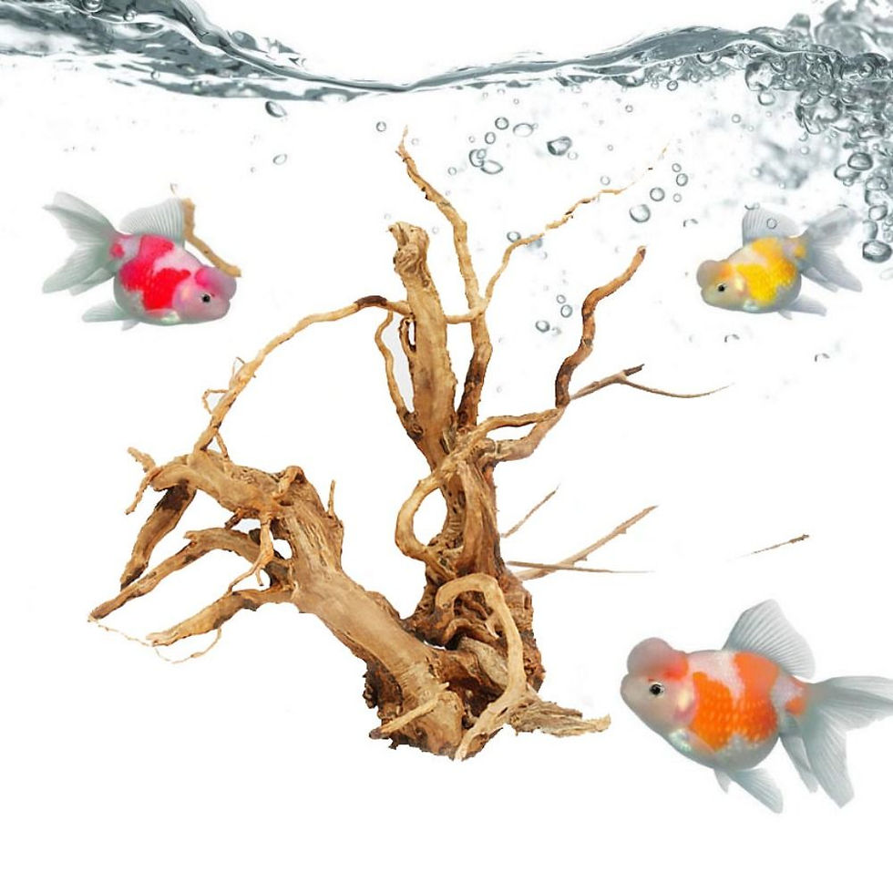 Thumbnail: Large Aquarium Driftwood Natural Fish Tank Plant Decor Tree Aquarium Fish Bowl S
