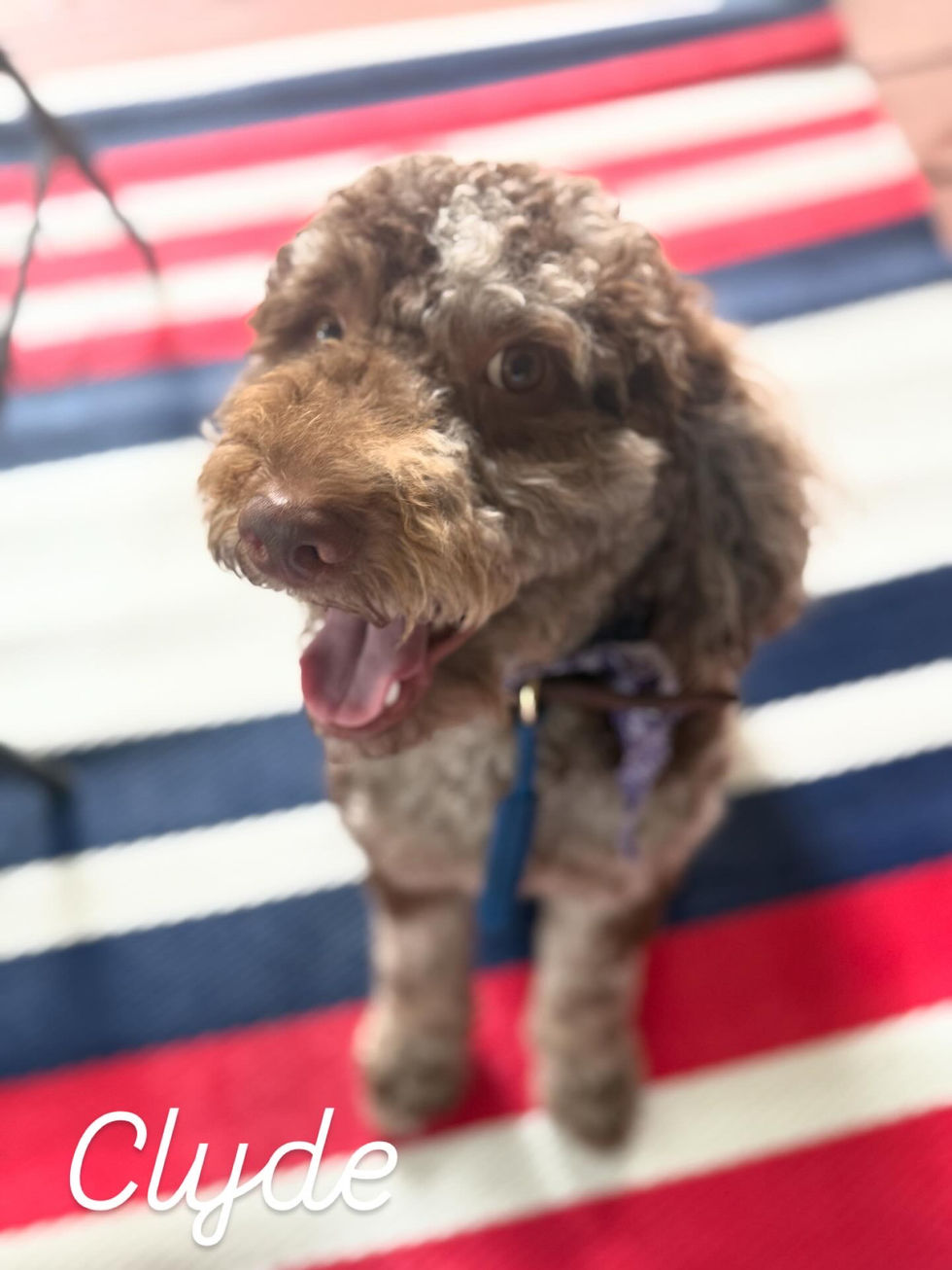 6CFF4EFE-43E6-42C2-97BC-F3947E9B793C