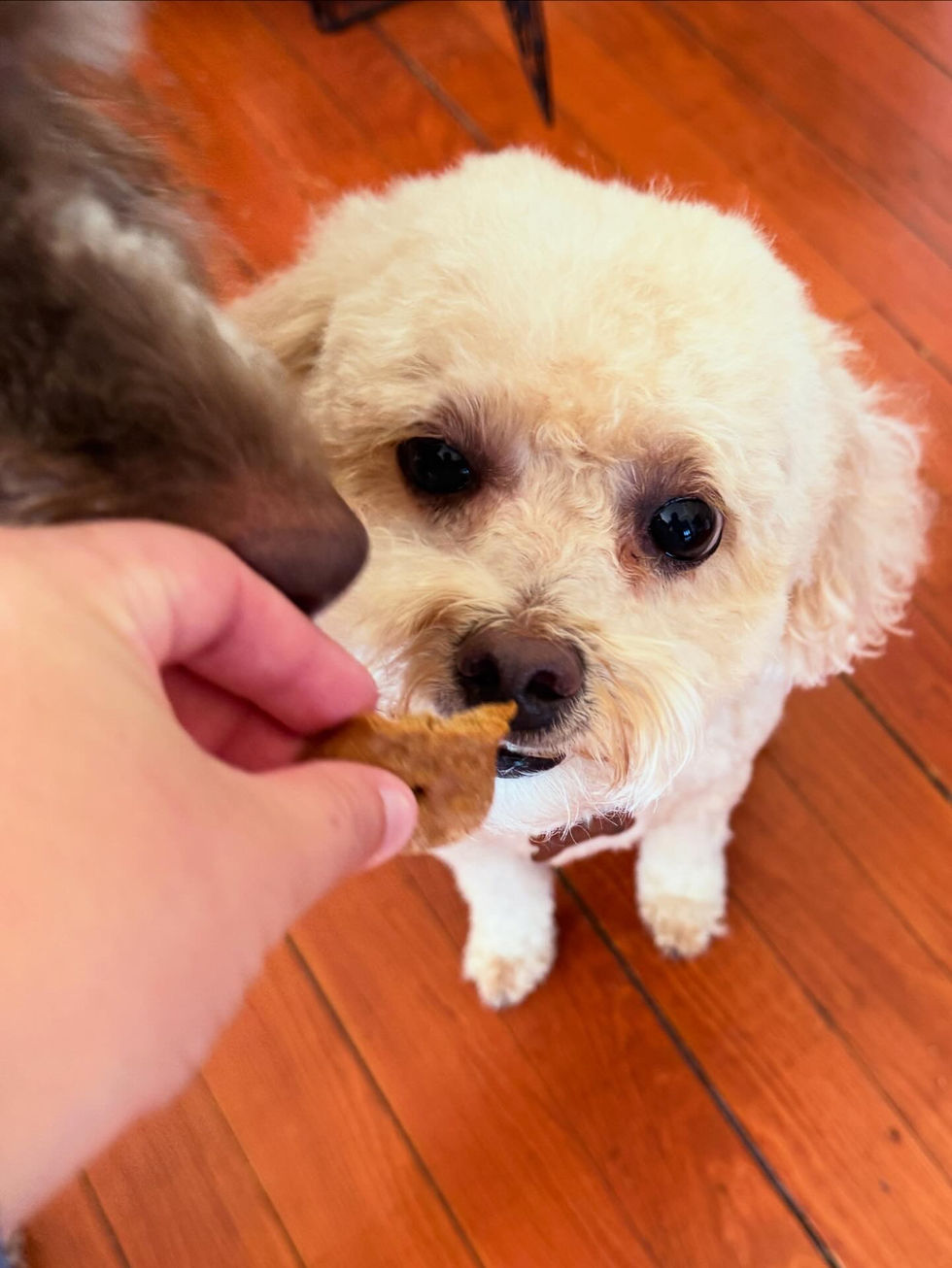 AE386998-7975-4F39-88EC-91B4881DFD3A