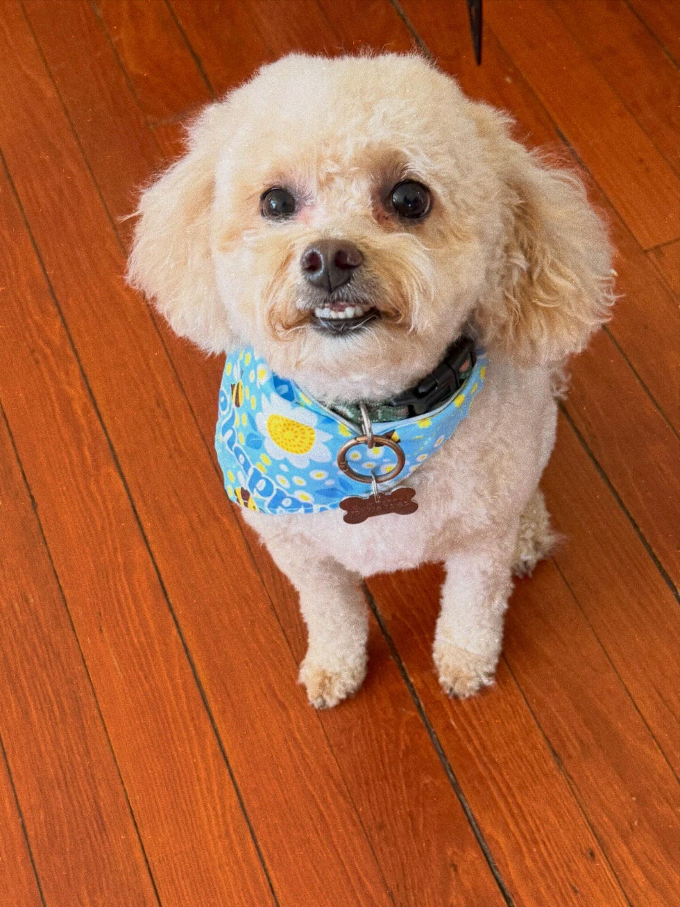 92F36F55-BC95-4812-9200-EAFD3AC1C8E9