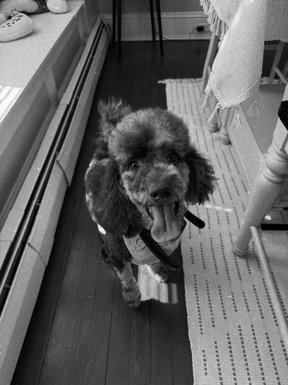 2D35F6E8-8C09-4FD5-AFE4-CEDAB30E5675