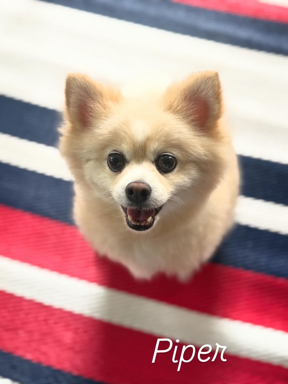 DA129F4E-C4D8-4735-A96C-B8246EB89585