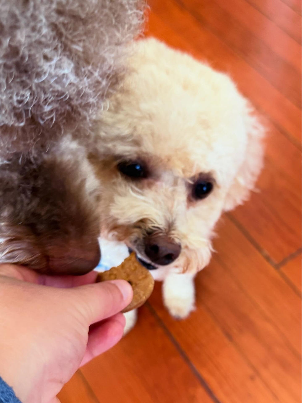 BDAAD1CA-2D1C-43E6-8EA0-B0C2B82DDC97