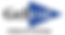 gelest logo.
