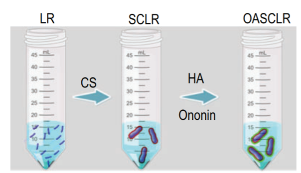 Figure 3: Schematic illustration of the formation of OASCLR. Image taken from (Fu et al., 2022).