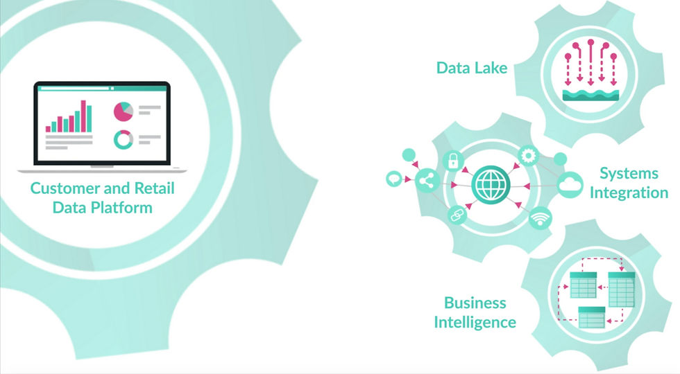 Image showing integrated data lake, systems and BI solution - Customer & Retail Data Platform