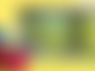 Más que al ojo el arte implica al cerebro social