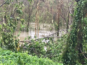 Después de María 4.jpg