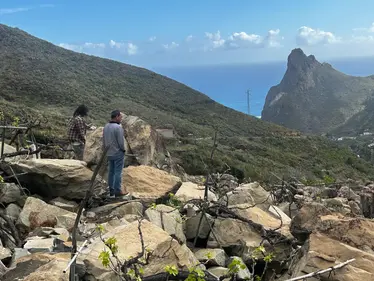 LOHASPAIN Highlights the Unique Winegrowing Heritage of Tenerife and Bodegas Viñátigo
