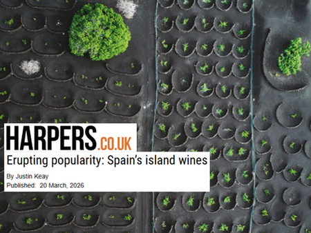 Viñátigo en Harpers.co.uk: "35 años interpretando el origen en los vinos volcánicos de Canarias"