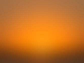 Returning to Beginner’s Mind