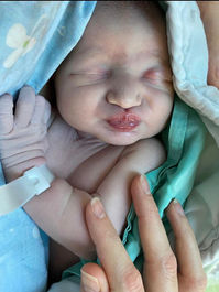 WhatsApp Image 2022-02-08 at 15.04.18.jpeg