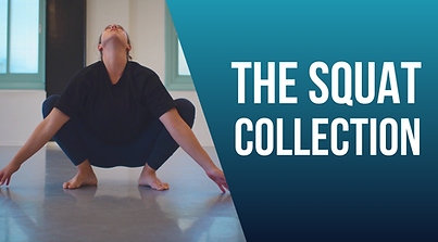 SQUAT.png