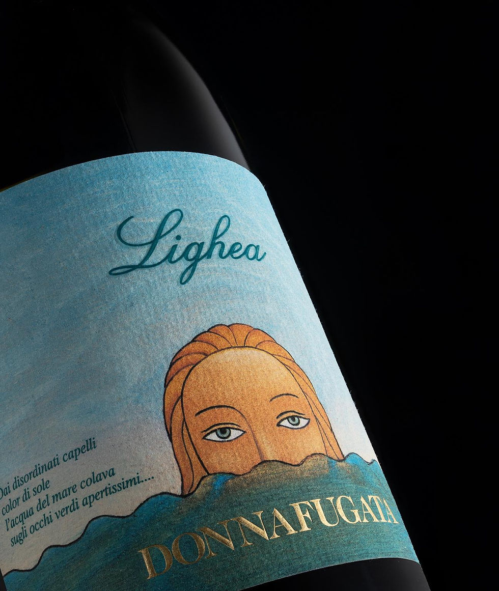 Miniatura: vino moscato sicilia cantina donnafugata