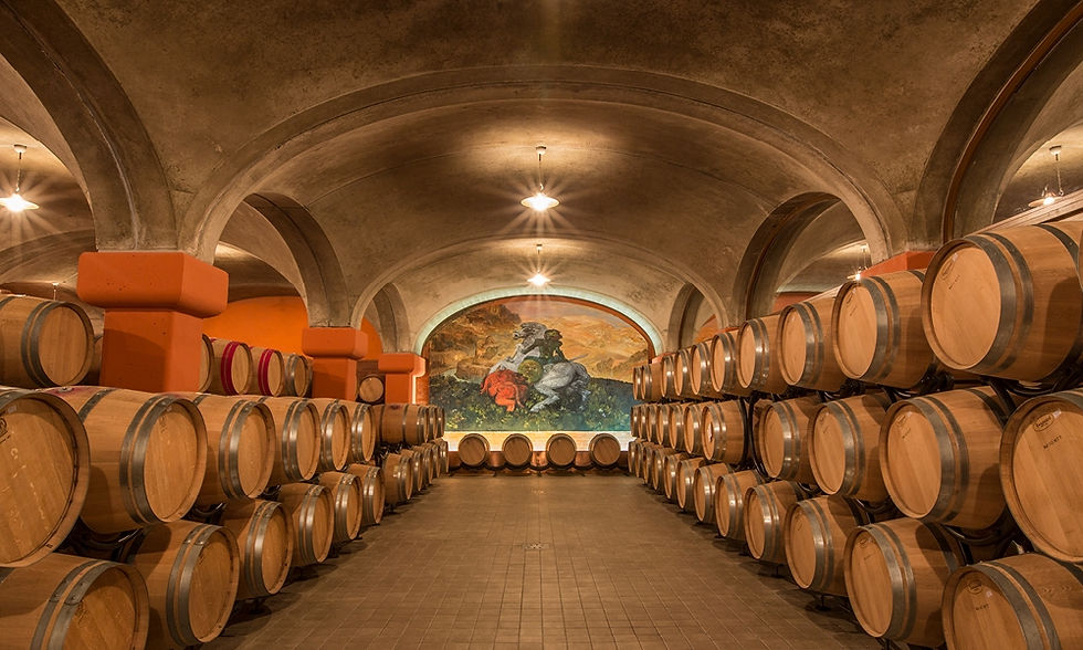 Miniatura: cantina tua rita vini suvereto